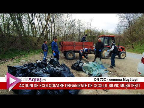 OCOLUL SILVIC MUSATESTI - AMPLE ACTIUNI DE ECOLOGIZARE