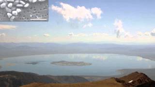 A Day In The Life Audrey In Sacramento