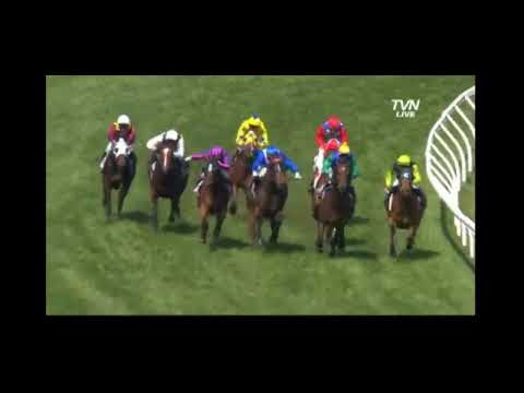 LIGHTINTHENITE wins Group 3 MRC Coongy Stakes