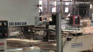 MÁY CƯA LỌNG CNC WOOSMASTER, CƯA LỌNG CNC GIÁ RẺ NHẤT HCM