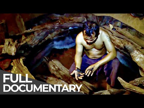 Living with the Most Dangerous Animals & Diamond Hunters