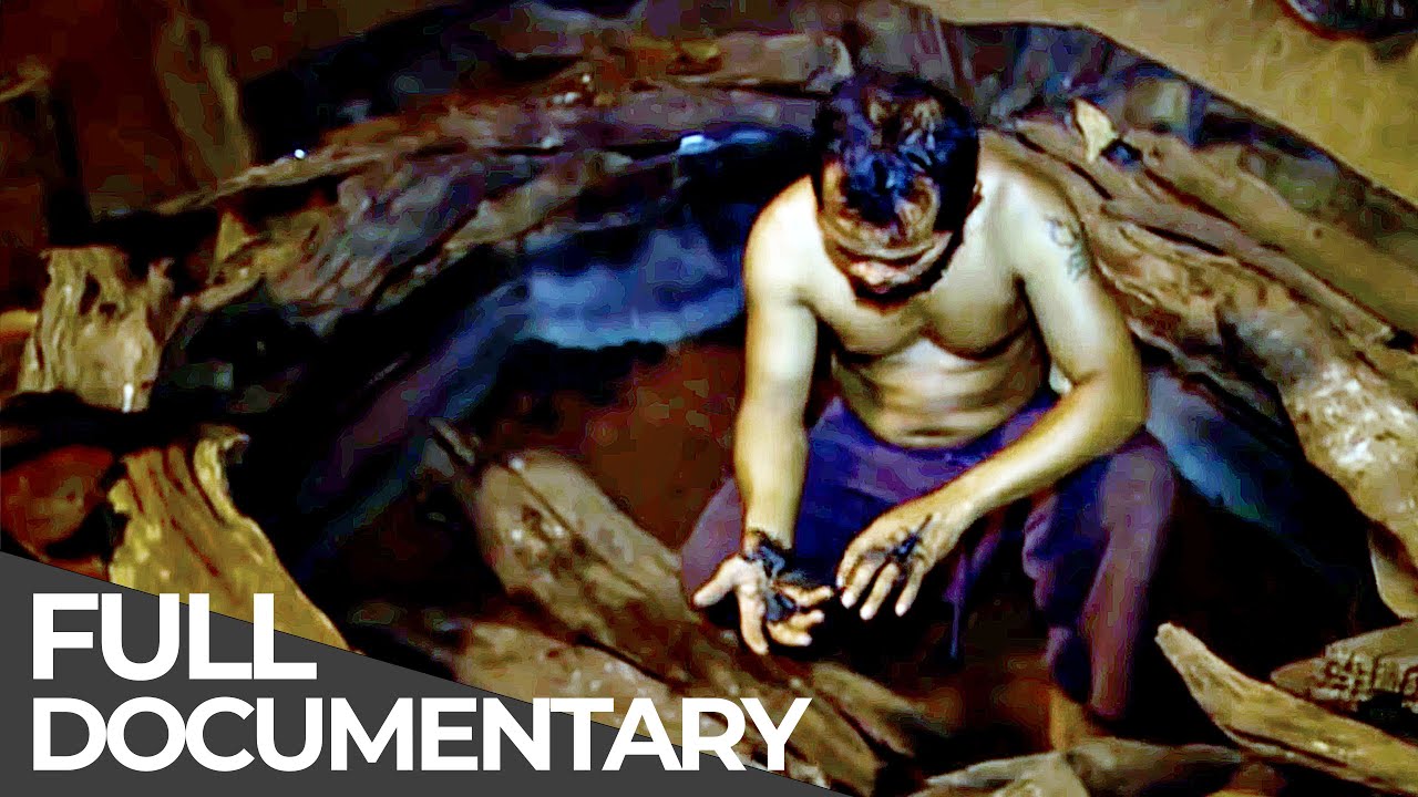 Living with the Most Dangerous Animals & Diamond Hunters