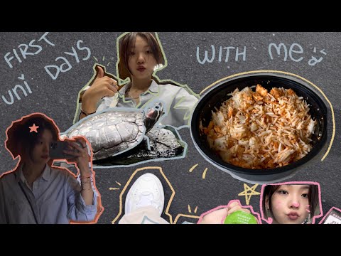 primeiros dias da Universidade de Lingnan★彡