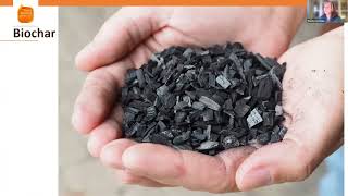 Biochar and Trees