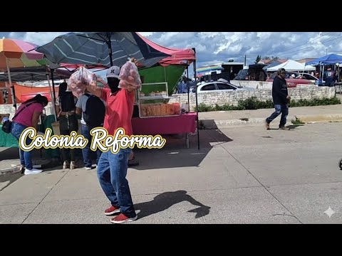 Colonia Reforma en Cuauhtémoc Chihuahua || Conocimos el Cuadro 