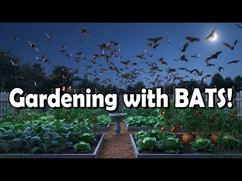 Bats Are Your Garden's Secret Weapon - How to Attract Them Naturally