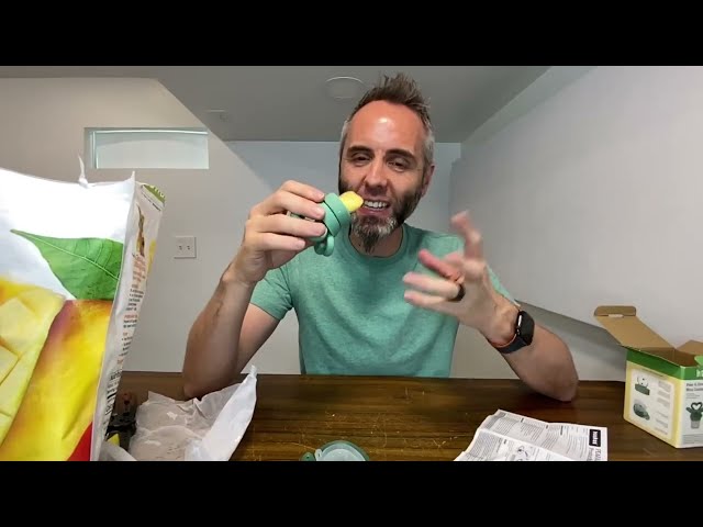 The Best Baby Fruit Feeder for Teething and Feeding - product in use