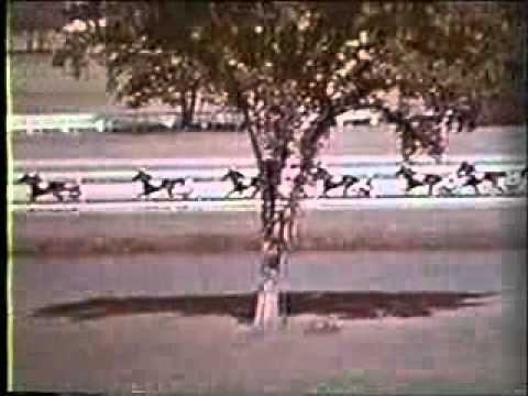 Hambletonian 1968 -Nevele Pride