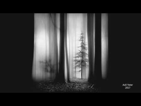 Adil Yeter-Sarılsana