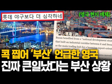 부산 사는데.. 진짜 겁나요 외신조차 우려를 표한 대한민국 부산 심각한 현재 상황