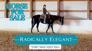 Check out this family horse for sale! Safe and sound!