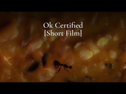 Arun K N Short Film (2:55)