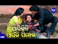 Parilini Paunji Pindhei Sad Film Song Udit Narayan Sabya Archita Budhaditya Sidharth Music