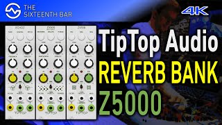 Video thumbnail for TipTop Audio Z5000 REVERB Effect Bank Sound Demo by Attila Hanak (Attila Hanak)