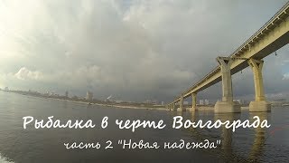 Соревнования по рыбалке в волгограде