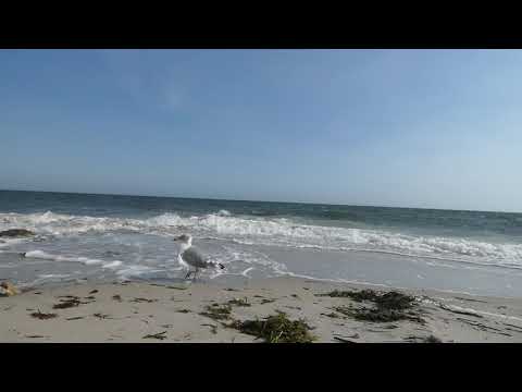 Cape Cod 2020- Waves and Storm