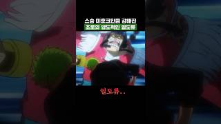 원피스) 스승 미호크만큼 강해진 조로의 압도적인 일도류