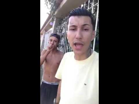 MC PEDRINHO JR  - TO NO JOGO 2016 (Previa)