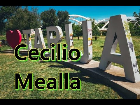 Cecilio sapito mealla #3