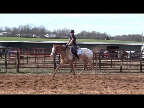 You're cheating cause she has such an easy sitting trot.