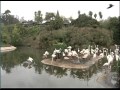 Wild Animal Park