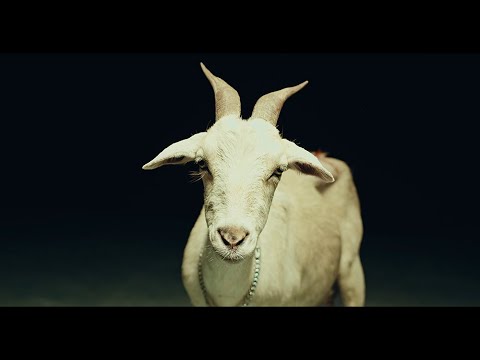 Hernâni - Bleat (Video Oficial) (2025)