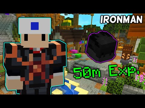 THIS NEW UPDATE IS INSANE... (Hypixel Skyblock IRONMAN) [249]