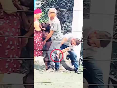 dog angry on doctor  by injection  #comedy #dog #shorts