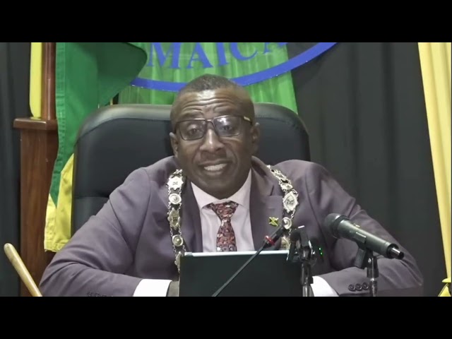 WATCH: KSAMC allocates $220m for road repairs, urges businesses to meet signage deadline