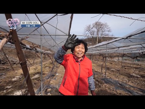 [기적의운동화 시즌2] 인공관절 수술 후 한결 가벼워진 조장묵 어머니의 발걸음