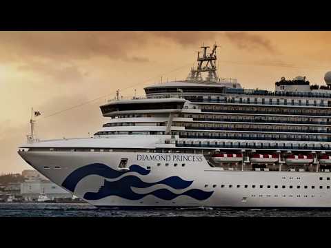Traces of the coronavirus survived 17 days on surfaces of cruise ship
