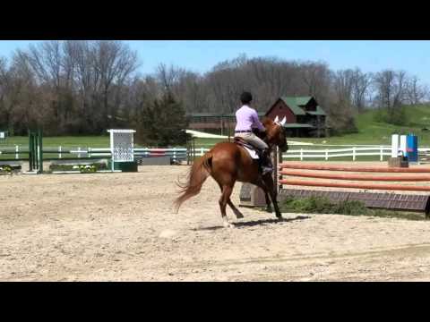 whizz kid low child/adult jumper