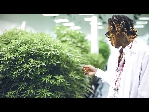 Wiz Khalifa - DayToday: The Right Track