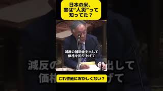 これ知ってた？日本の米、実は“人災”だった… #政治 #農業 #日本 #ニュース #時事 #問題提起