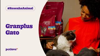 GranPlus Gato