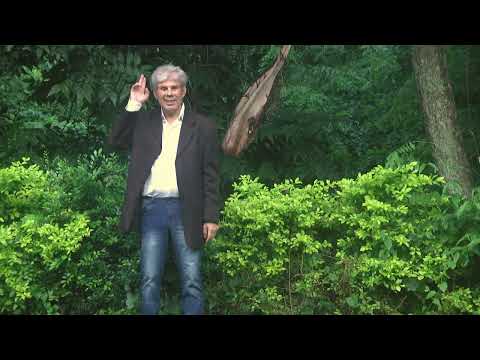 **Captação de Áudio de Qualidade Profissional 4k**