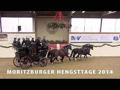 Trailer Moritzburger Hengsttage 2014