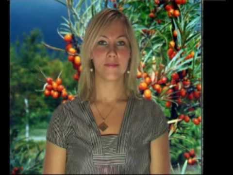 Havtorn(Seabuckthorne berry) - www.nordicpower.net