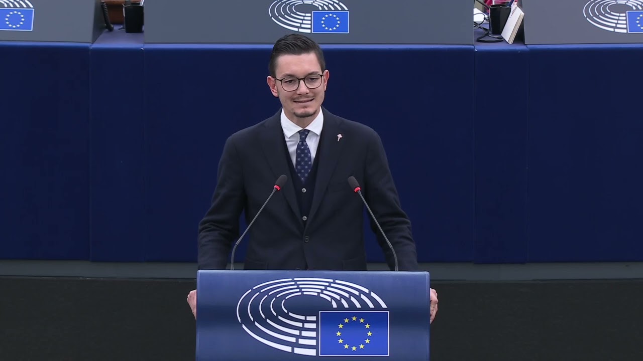 INSELVINI: "L'EUROPA HA CONSEGNATO LA PROPRIA SOVRANITÀ INDUSTRIALE ALLA CINA"