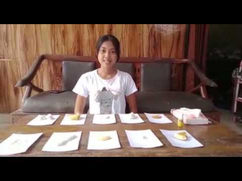 Uji Kandungan Makanan Menggunakan Betadine