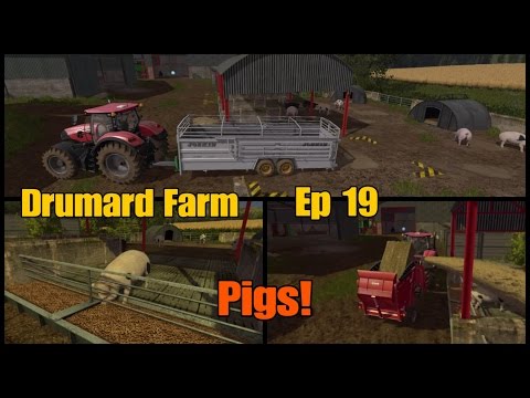 Let's Play Farming Simulator 17 PS4: Drumard Farm, Ep 19 (Pigs!)