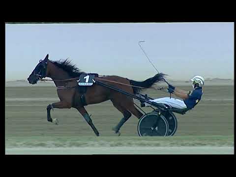 Napoli Trotto 17/09/2021 - 1ª corsa