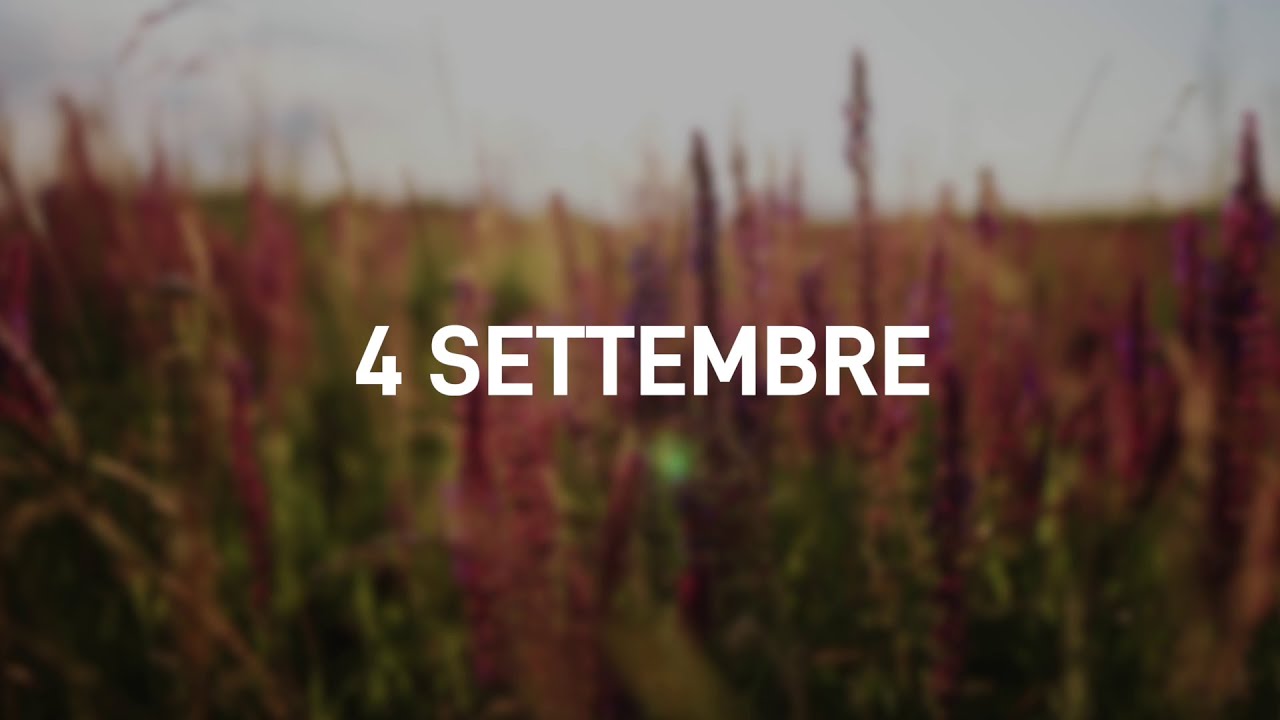 4 Settembre 2025 | Meditazione Parole di Vita
