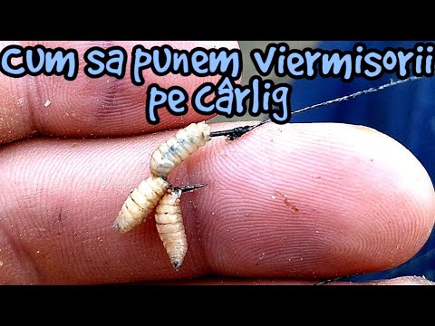 tratamentul abacan al paraziților