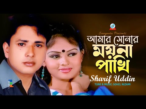 Amar Sonar Moyna Pakhi | আমার সোনার ময়না পাখি | Sharif Uddin | Sangeeta