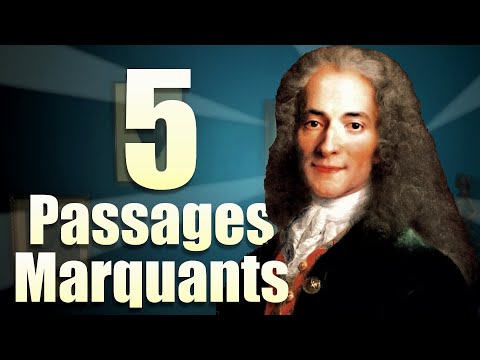 Comprendre CANDIDE et les idées de VOLTAIRE en 5 extraits