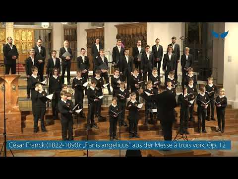 Phenomenal Tölzer boy soprano -  Panis Angelicus