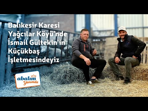 Balıkesir Karesi’de İsmail Gültekin’in Küçükbaş İşletmesindeyiz