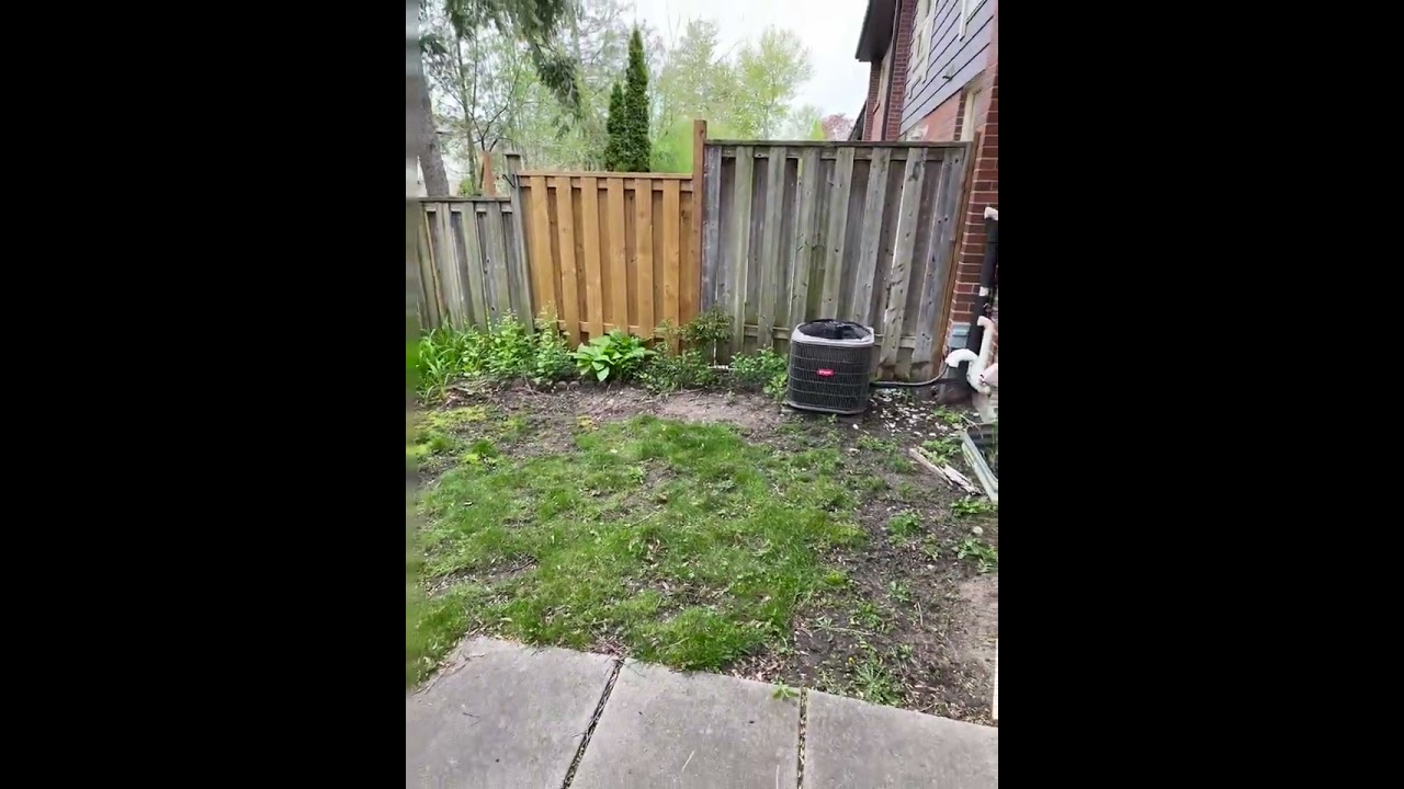 External video