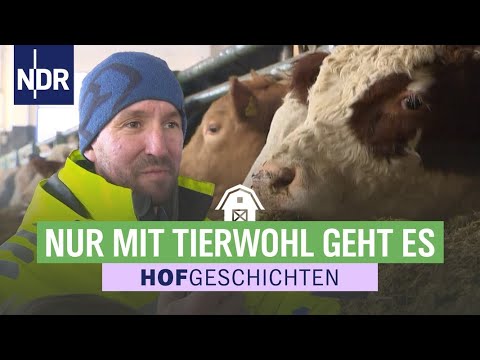 , title : 'Kontrolle im Stall: der Chef macht es persönlich | Hofgeschichten: Leben auf dem Land (261) | NDR'